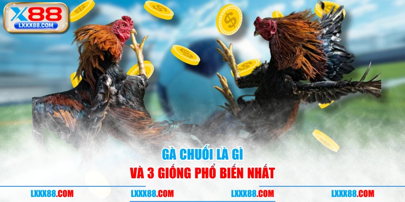 Gà chuối là gì và 3 giống phổ biến nhất