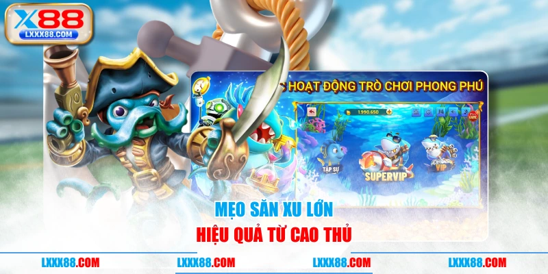Mẹo săn xu lớn hiệu quả từ cao thủ