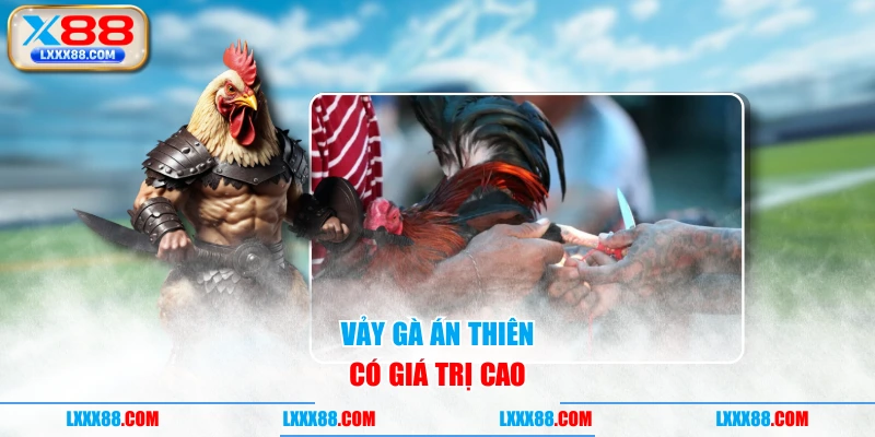 Vảy Gà Án Thiên có giá trị cao